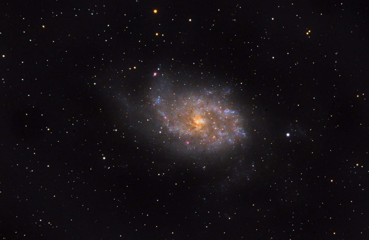 M33