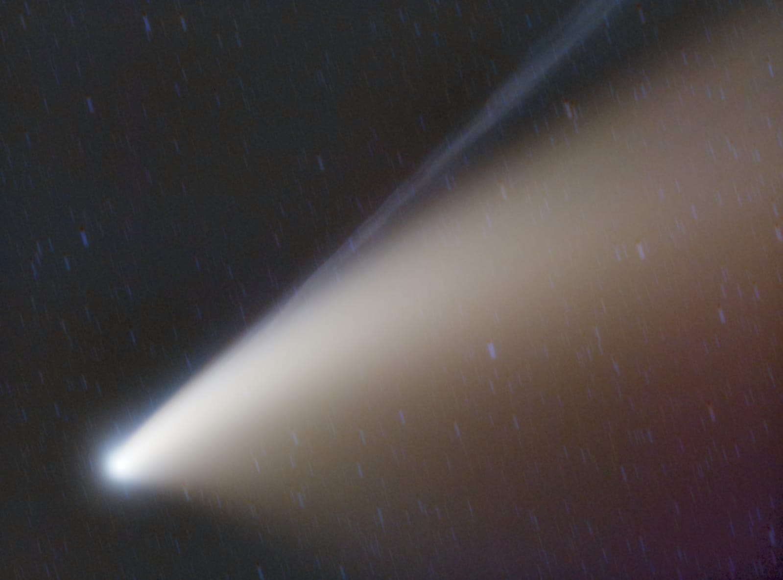 Cometa Neowise