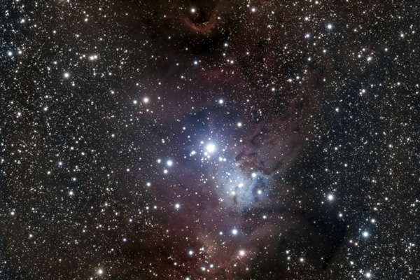 NGC2264