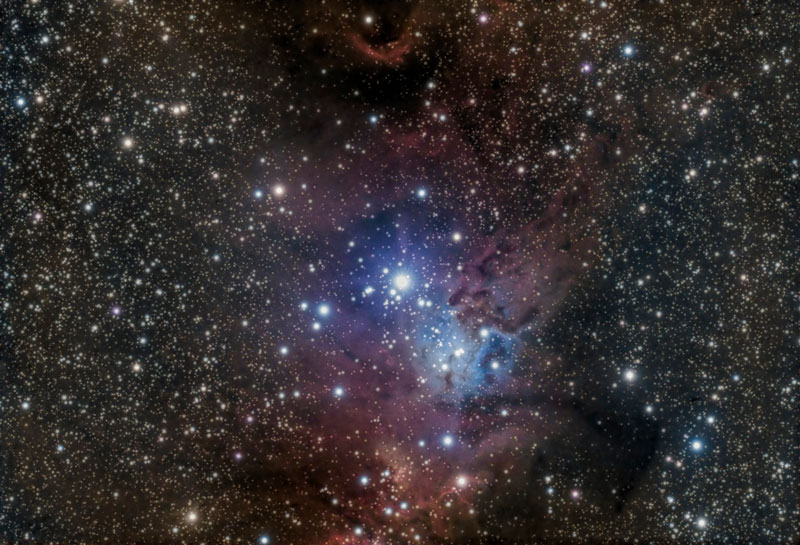 NGC2264