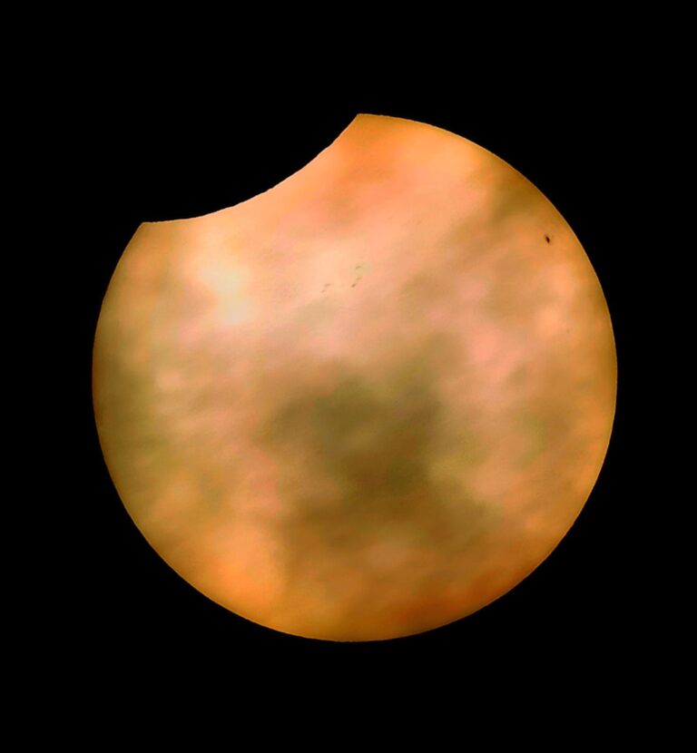 Eclissi di sole da San Rossore