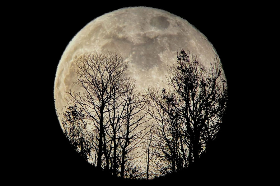 Tra-i-rami-della-Luna---Alessio-Chiappa