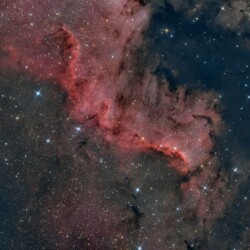 NGC7000 - Muro del Cigno