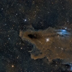 Nebulosa Squalo